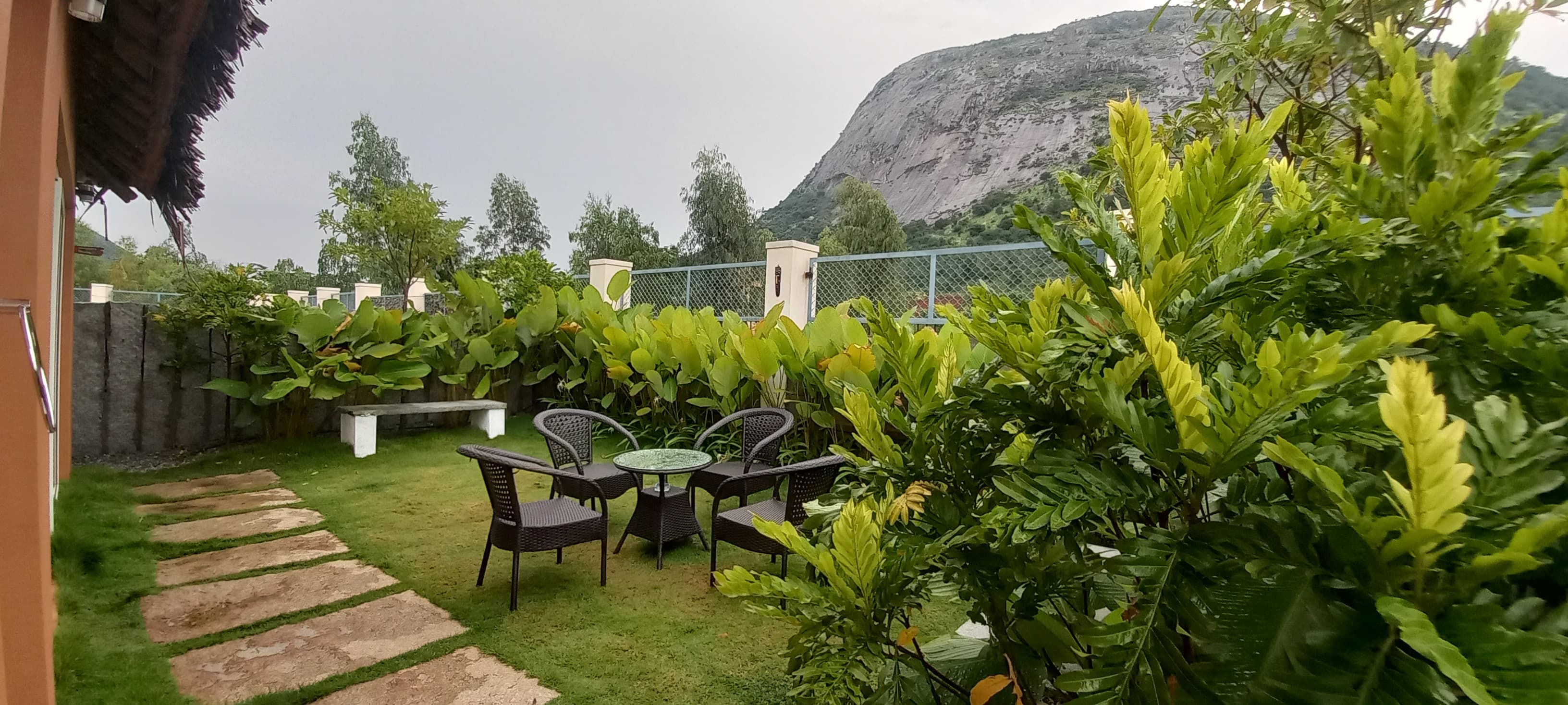 Elephant Hill Villa Cottage garden with mountain view